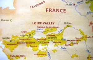 Photo from http://winetastingguy.com/wp-content/uploads/2008/08/france_loire.JPG