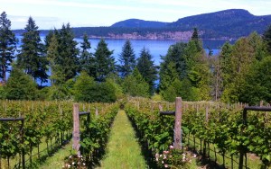 Photo used with permission from David Goudge 2014.