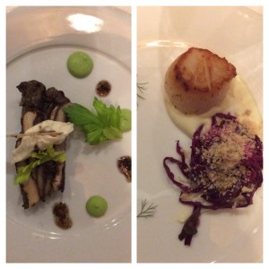 The Demystified Vine