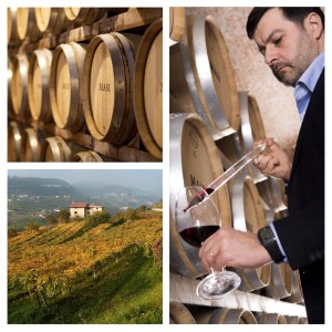 The Demystified Vine