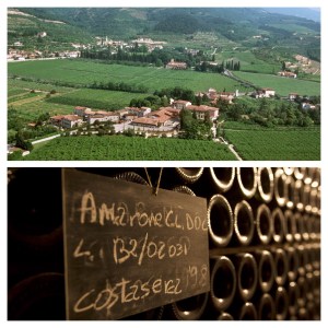 The Demystified Vine