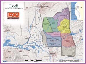 Photo used with permission from Lodiwine.com