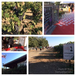 Opening reception at Mohr Frye Ranch