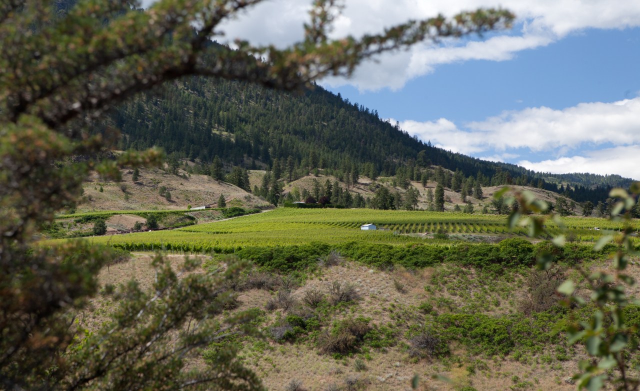 goldenmilebench-photo-from-winebccom2