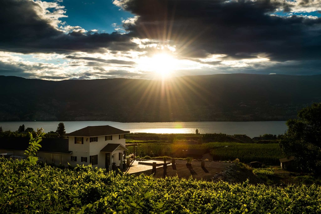 lunessence_winery_sunset